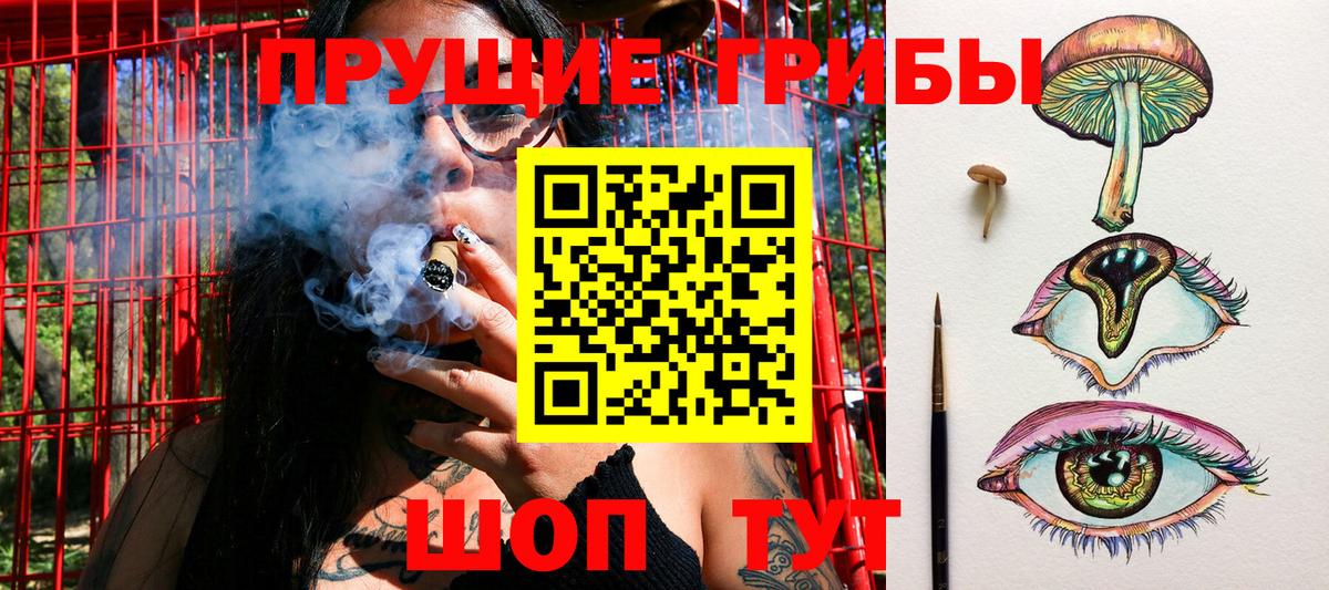 Псилоцибиновые грибы Magic Shrooms  Вход с VPN  Баксан 